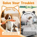 2-Pack Aggressive Chewer Toy