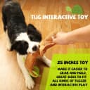 Dog Puzzle Enrichment Toy — Squeaky Crinkle Plush Turtle Puppy Toy