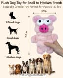 5 Pack Plush Squeaky Dog Toys for Small Dog