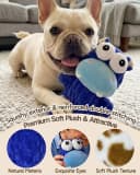5 Pack Plush Squeaky Dog Toys for Small Dog