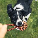 Large Tough Chew Toys for Aggressive Chewers — 9 Pack Dog Rope Toys