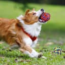 Large Tough Chew Toys for Aggressive Chewers — 9 Pack Dog Rope Toys