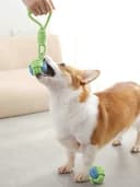 Dog Toy Interactive Chewing Rope Ball Toys Natural Cotton Washable Durable Tug of War for Small and Medium Dogs