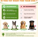 Dog Squeaky Toys Stretchable Crocodile for Interactive Tug of War