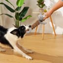 Tug of War Dog Toy — Crinkle Dog Toys for Large Dog