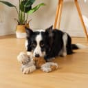 Tug of War Dog Toy — Crinkle Dog Toys for Large Dog