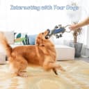Funny Plush Dog Chew Toys — Squeaky Dog Toys