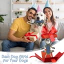 Funny Plush Dog Chew Toys — Squeaky Dog Toys