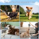 Funny Plush Dog Chew Toys — Squeaky Dog Toys