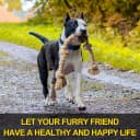 Dog Rope Toys for Aggressive Chewers — Chew Toys for Large Medium Dogs