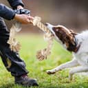 Dog Rope Toys for Aggressive Chewers — Chew Toys for Large Medium Dogs