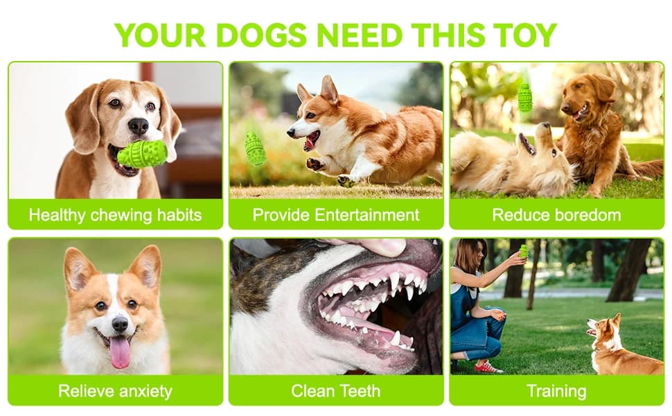 Natural Rubber Squeaky Dog Chew Toy for Large Aggressive Chewers — product details
