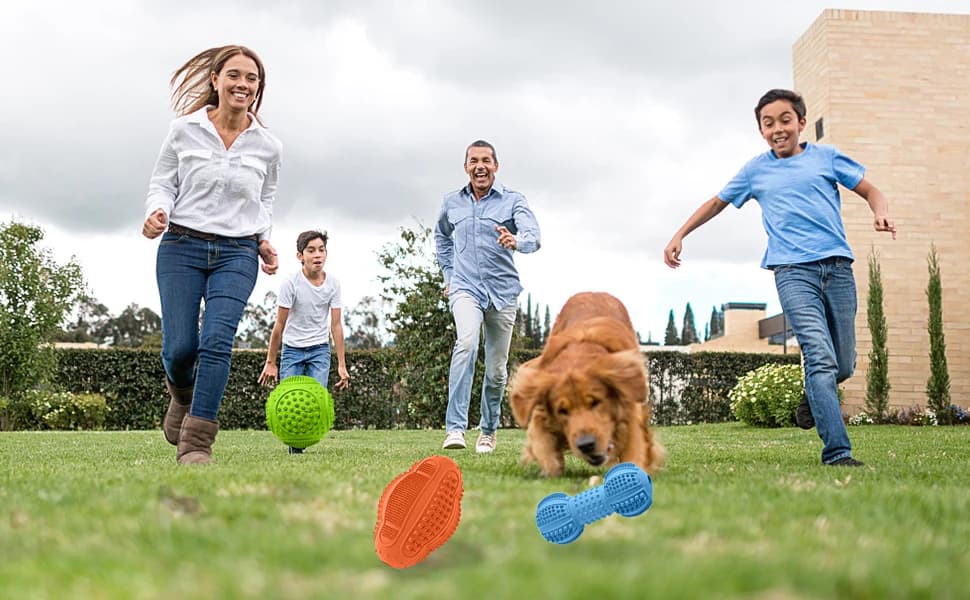 Dog Chew Toys 3 Pack for Aggressive Chewers — product details