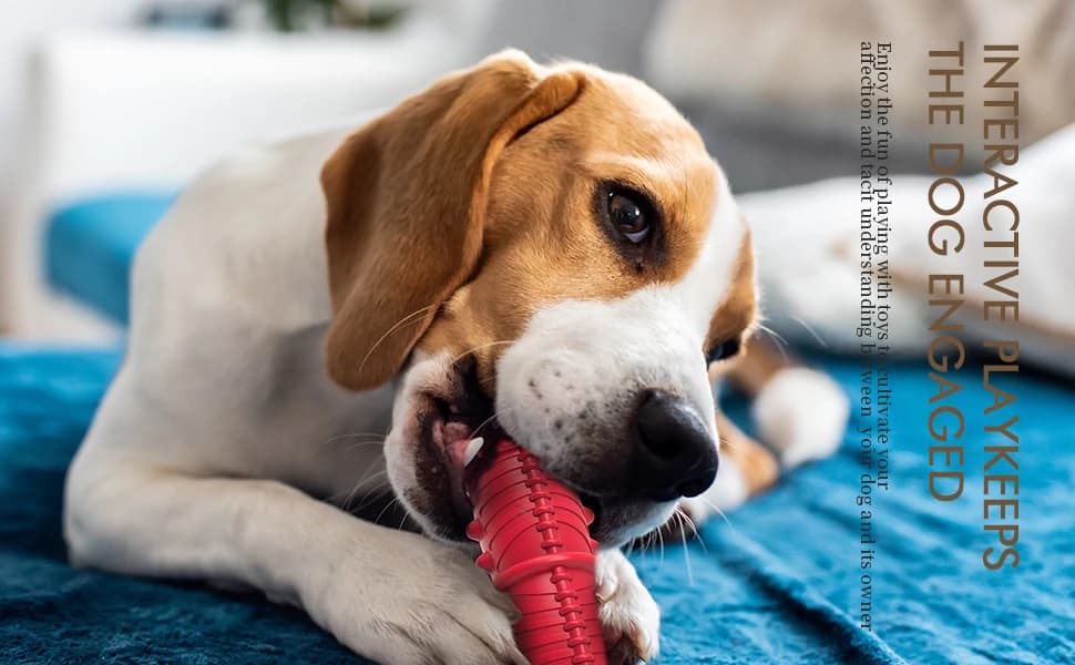 Dog Squeaky Toys for Aggressive Chewers — product details