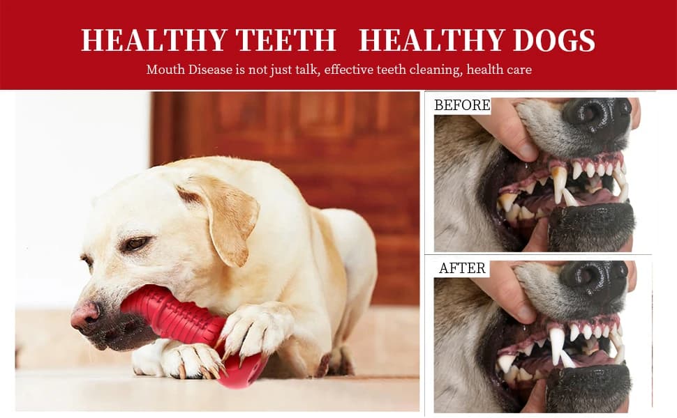 Dog Squeaky Toys for Aggressive Chewers — product details