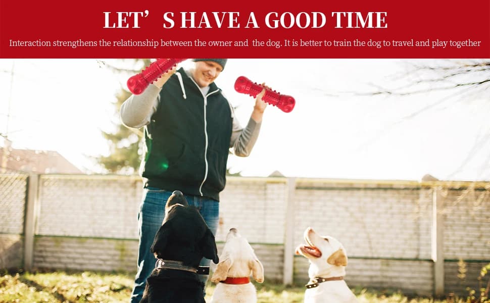 Dog Squeaky Toys for Aggressive Chewers — product details
