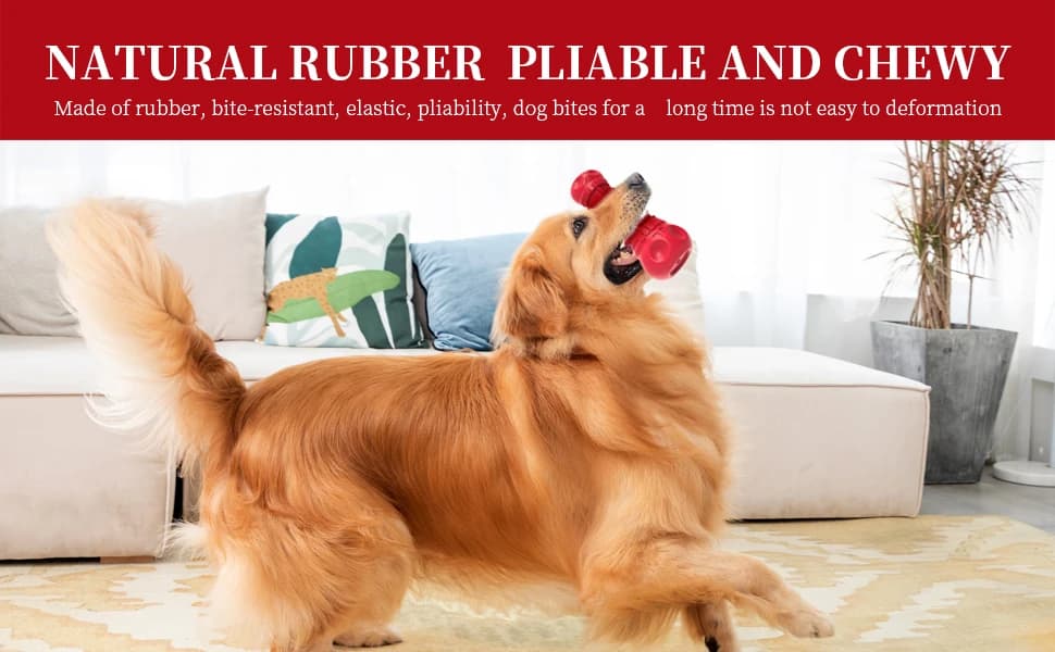Dog Squeaky Toys for Aggressive Chewers — product details