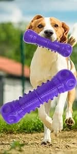 Dog Squeaky Toys for Aggressive Chewers — product details