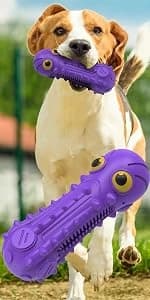Dog Squeaky Toys for Aggressive Chewers — product details