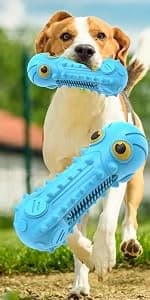 Dog Squeaky Toys for Aggressive Chewers — product details