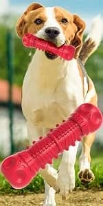 Dog Squeaky Toys for Aggressive Chewers — product details