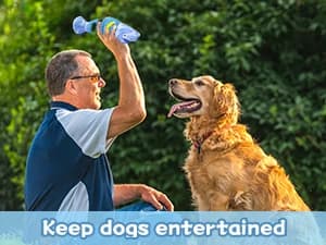 Tough Dog Toys for Aggressive Chewers — Indestructible Dog Chew Toys — Interactive Dog Toys