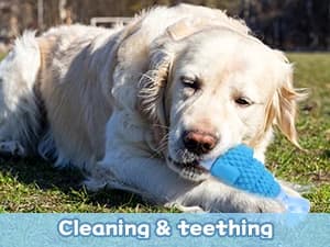 Tough Dog Toys for Aggressive Chewers — Indestructible Dog Chew Toys — Interactive Dog Toys