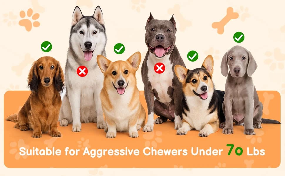 2-Pack Aggressive Chewer Toy โ product details