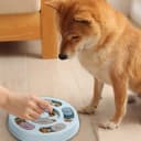 Dog Puzzle — Dogs Food Toys for IQ Training and Mental Enrichment