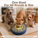 Adjustable 5-60 Min Slow Feeder Dog Bowl and Puzzle Feeder Anti-Gulping