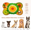 Snuffle Mat for Dogs — Pet Snuffle Mat for Small and Medium Dogs