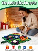 Snuffle mat for cats and dogs 17.7in
