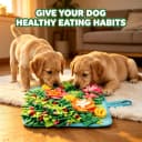 Snuffle Mat for Dogs 17.7''x17.7 — Sniff Mat for Small/Medium Dogs