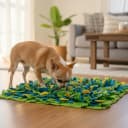 Dog Snuffle Mat — Interactive Enrichment Toy for Boredom (16"x22")