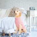 Cable Knit Turtleneck Dog Sweater with Leash Opening