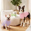 Dog Sweater 3 Pack for Small Dogs