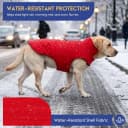 Reversible Dog Winter Coat — Dog Jacket for Small