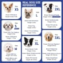 Reversible Dog Winter Coat — Dog Jacket for Small