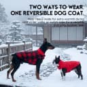 Reversible Dog Winter Coat — Dog Jacket for Small