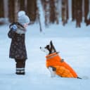 Dog Coat Warm Dog Winter Coat Waterproof Dogs Jacket with Harness