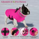Dog Winter Coat with Harness