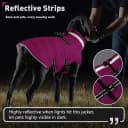 Dog Winter Coat with Harness