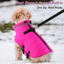 Dog Winter Coat with Harness