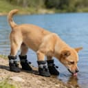 4 Pcs Dog Shoes, Soft Breathable Dog Boots with Adjustable Drawstring Non-Slip Sole Easy to Clean Dog Paw