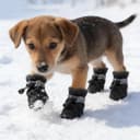 4 Pcs Dog Shoes, Soft Breathable Dog Boots with Adjustable Drawstring Non-Slip Sole Easy to Clean Dog Paw