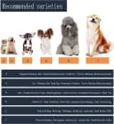 Dog Shoes for Small Dogs — Puppy Boots and Paw Protectors