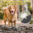 Dog Shoes for Large Medium Dogs — Dog Boots for Hot Pavement Size6