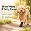 Dog Recovery Boot for Injured Paws