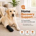 Dog Recovery Boot for Injured Paws