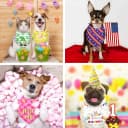 9 Pcs Holiday Dog Bandanas — Adjustable Washable Pet Scarves